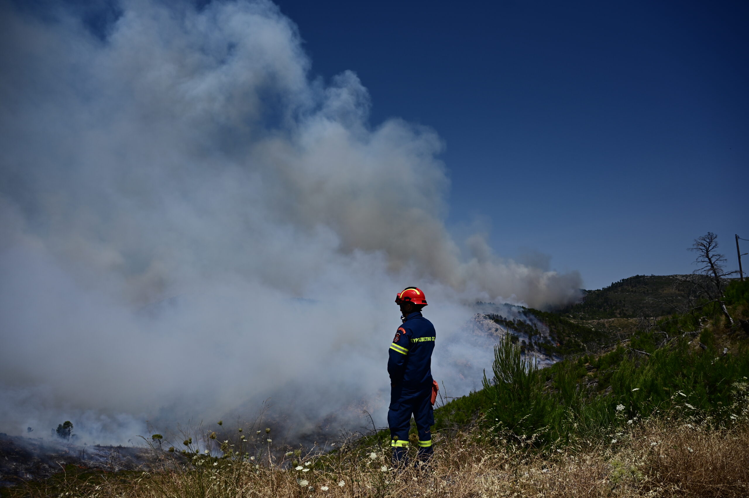 Ευρωπαϊκή συνδρομή για τις πυρκαγιές: 2 καναντέρ και 18 πυροσβέστες στέλνει η Γαλλία και 2 καναντέρ η Ιταλία