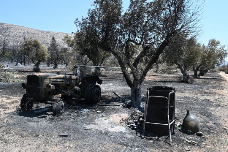 Συγκέντρωση για λήψη μέτρων πυροπροστασίας από το εργατικό κέντρο Λαυρίου – Ανατολικής Αττικής