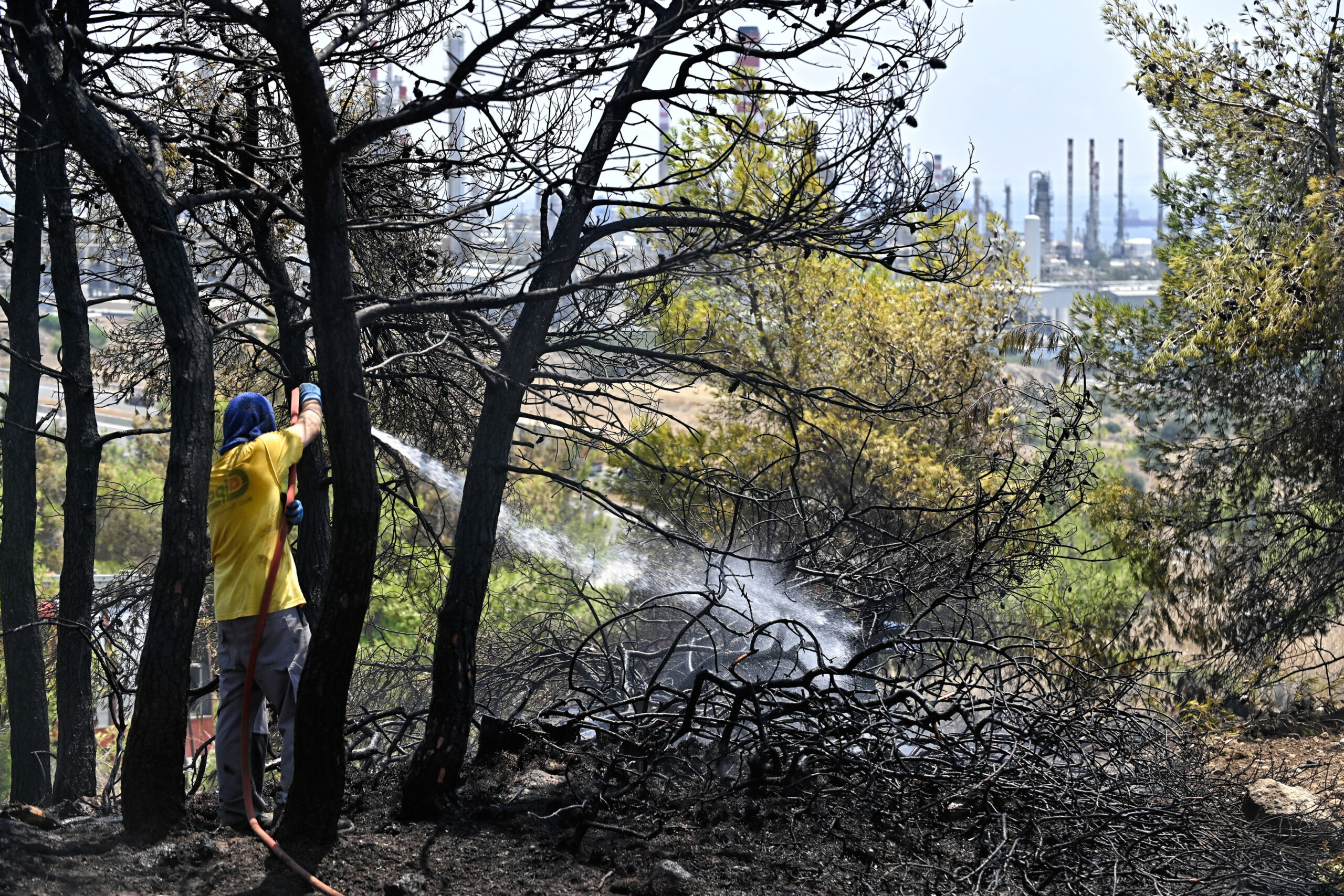 H KEΔΕ για τις δασικές πυρκαγιές και τα όρια αρμοδιοτήτων των Δήμων – «Δεν θέλουμε να γίνουμε οι αεί φταίχτες»