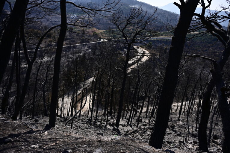 Σε ύφεση τα πύρινα μέτωπα σε Μέγαρα, Λουτράκι, Λακωνία – Ξεκίνησε η καταγραφή ζημιών
