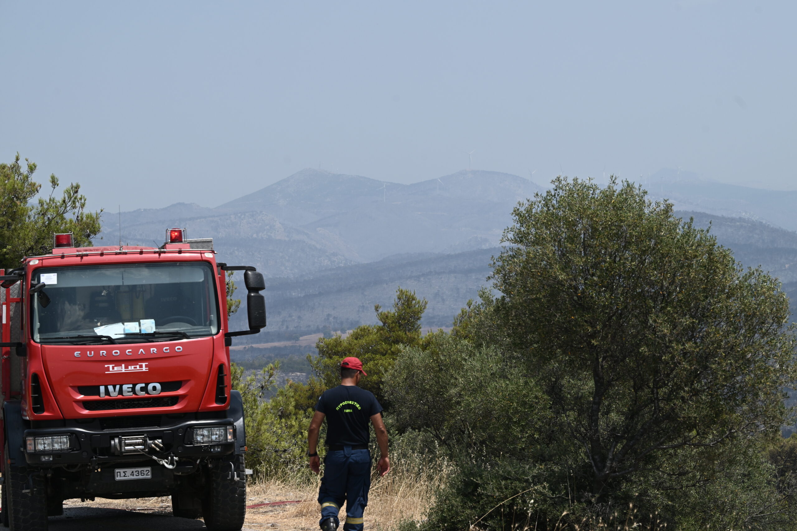 Χαλκιδική: Υπό μερικό έλεγχο η φωτιά στην Καλλιθέα