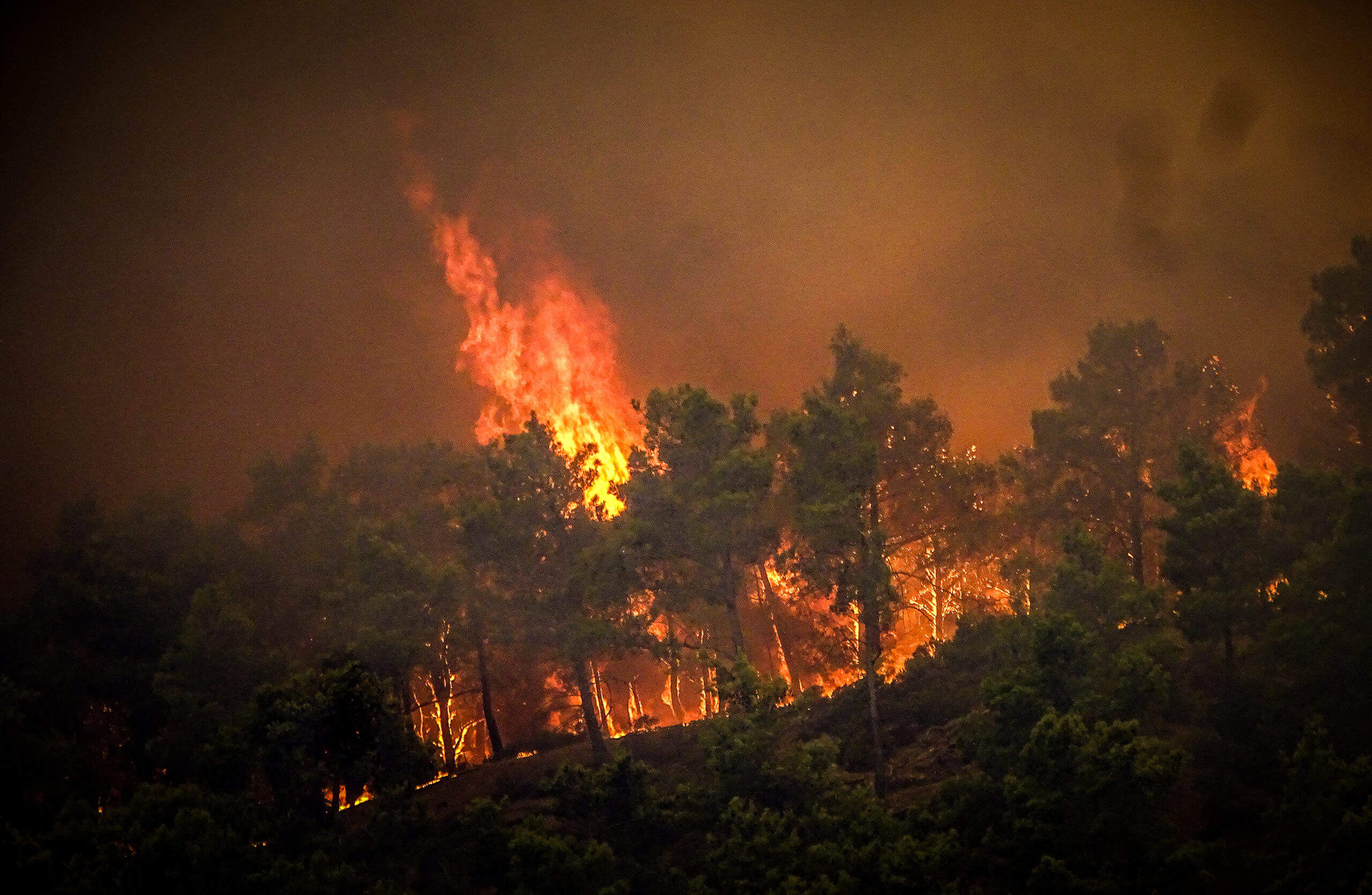 Φωτιά στην Κάρυστο: Τα 20 μέτρα φτάνουν οι φλόγες, νέο 112 – Έκκληση δημάρχου για εναέρια μέσα