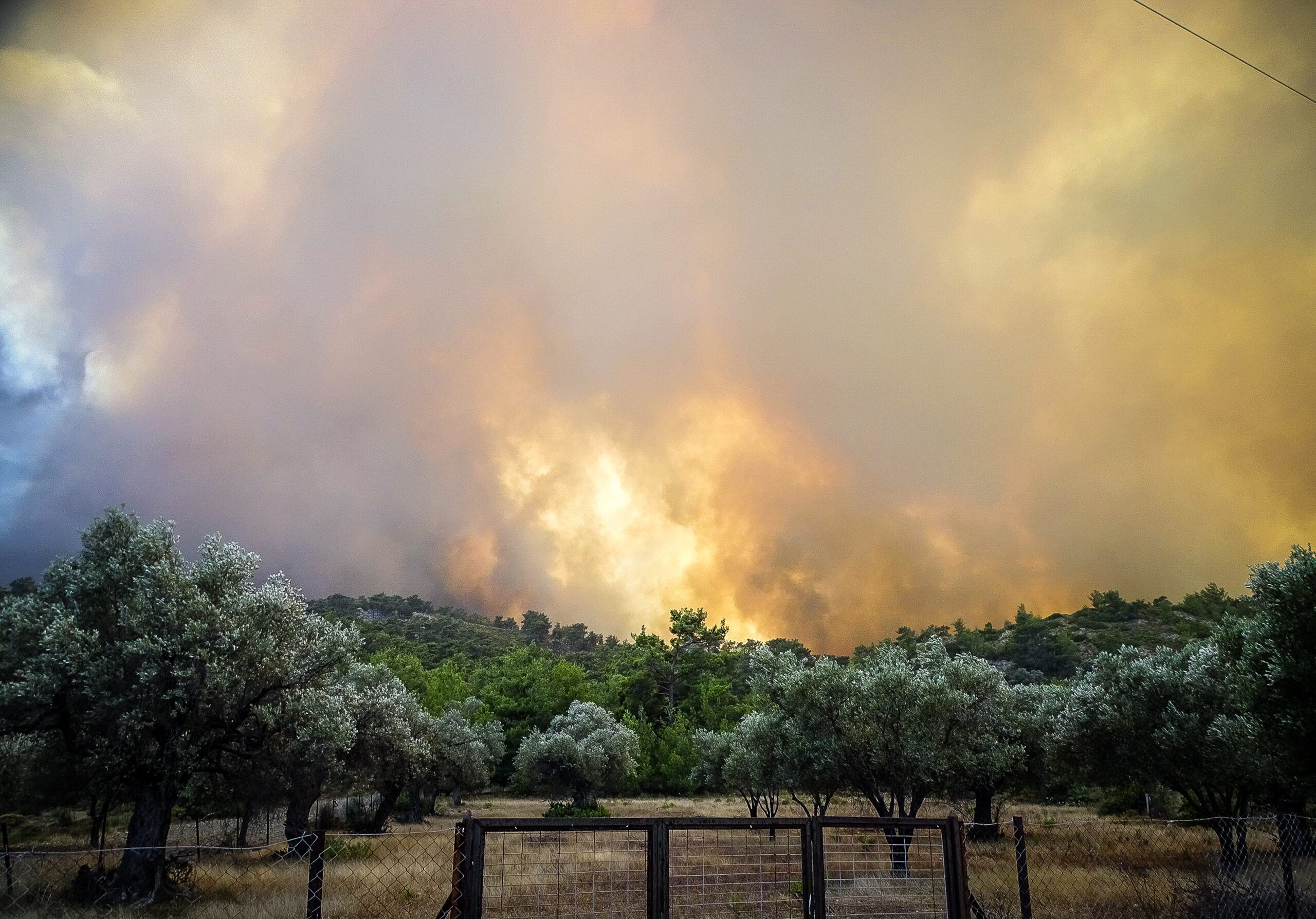 ΑΝΕΞΕΛΕΓΚΤΗ ΓΙΑ 4Η ΗΜΕΡΑ Η ΠΥΡΚΑΓΙΑ ΣΤΗΝ ΡΟΔΟ-ΣΤΙΓΜΙΟΤΥΠΑ ΑΠΟ ΤΙΣ ΠΕΡΙΟΧΕΣ ΚΙΟΤΑΡΙ, ΛΑΡΔΟΣ ΚΑΙ ΓΛΥΣΤΡΑ (ΑΡΓΥΡΗΣ ΜΑΝΤΙΚΟΣ /EUROKINISSI)