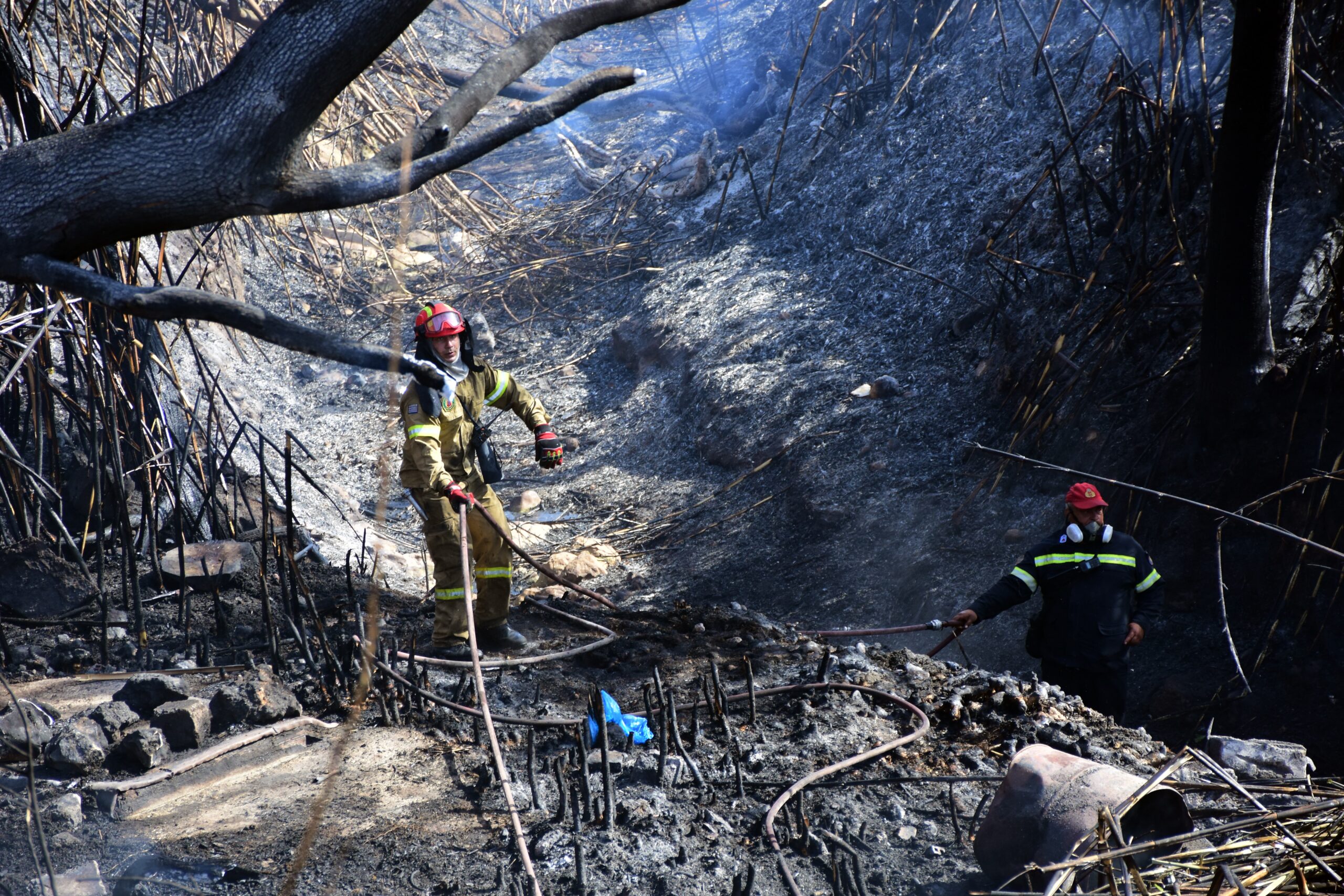 Άργος: Υπό μερικό έλεγχο η πυρκαγιά σε αγροτοδασική έκταση στην Κόκλα