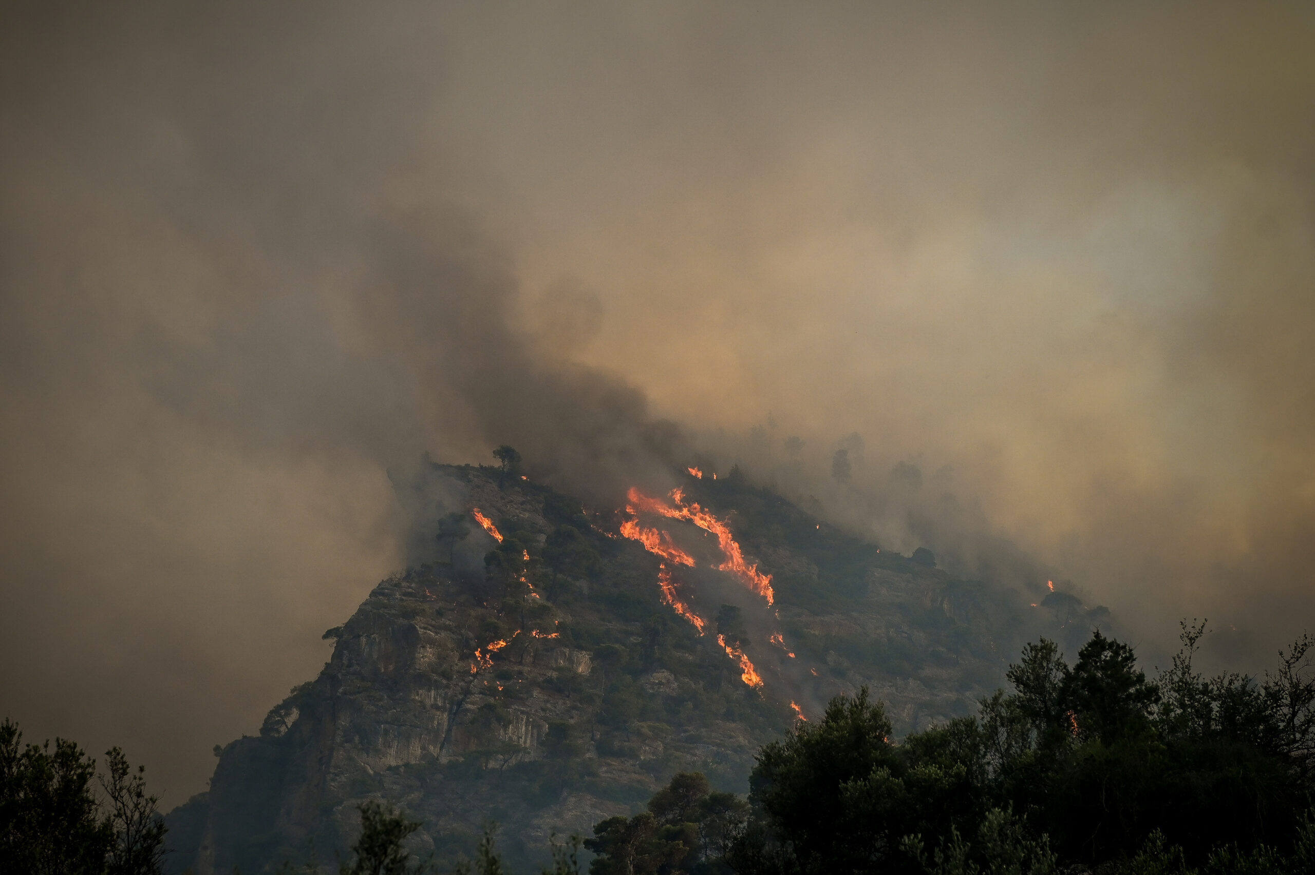 Πυρκαγιά στην Παντάνασσα Φιλιππιάδας