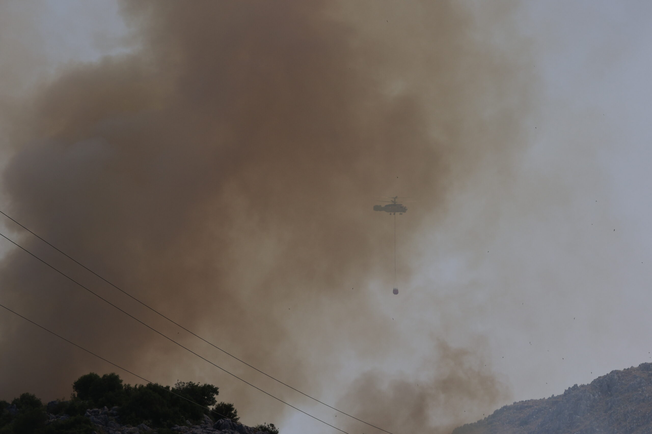 [362665] ΠΥΡΚΑΓΙΑ ΣΤΗΝ ΒΟΡΕΙΑ ΚΕΡΚΥΡΑ / 2η ΗΜΕΡΑ(ΓΙΩΡΓΟΣ ΚΟΝΤΑΡΙΝΗΣ/EUROKINISSI)
