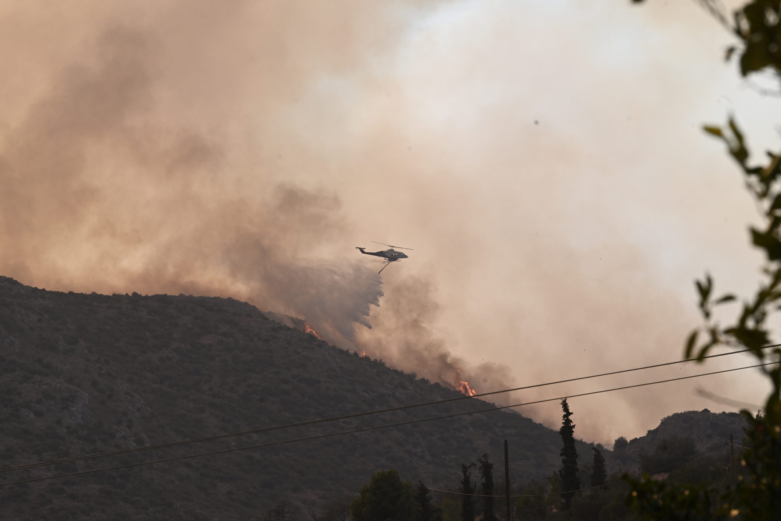 Πυροσβεστική: 37 δασικές πυρκαγιές εκδηλώθηκαν το τελευταίο εικοσιτετράωρο