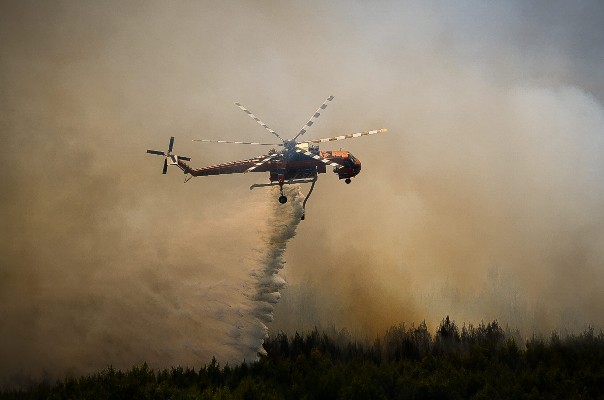 Ηλεία: Οριοθετήθηκε η φωτιά αλλά κάηκε το δάσος της Παλαιοβαρβάσαινας – Τρεις ημέρες πριν απόπειρα εμπρησμού στο ίδιο σημείο