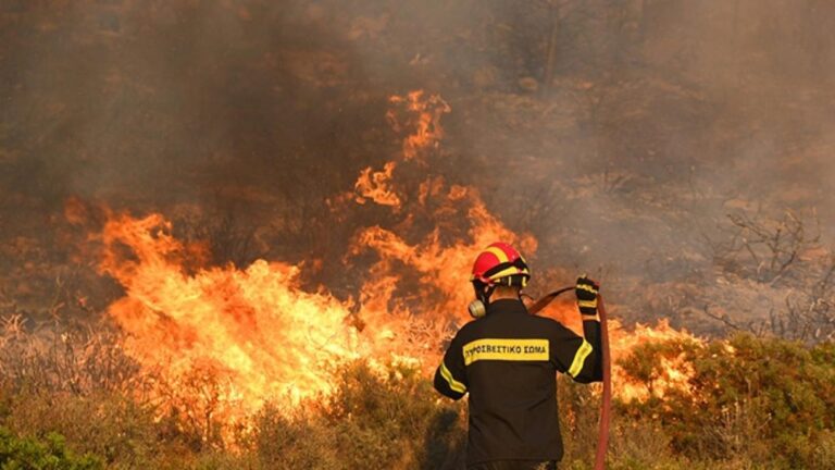 Συλλήψεις και διοικητικά πρόστιμα για πυρκαγιές στην Μαγνησία
