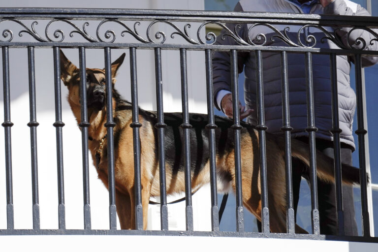 ΗΠΑ: Ο σκύλος του προέδρου Μπάιντεν… δαγκώνει