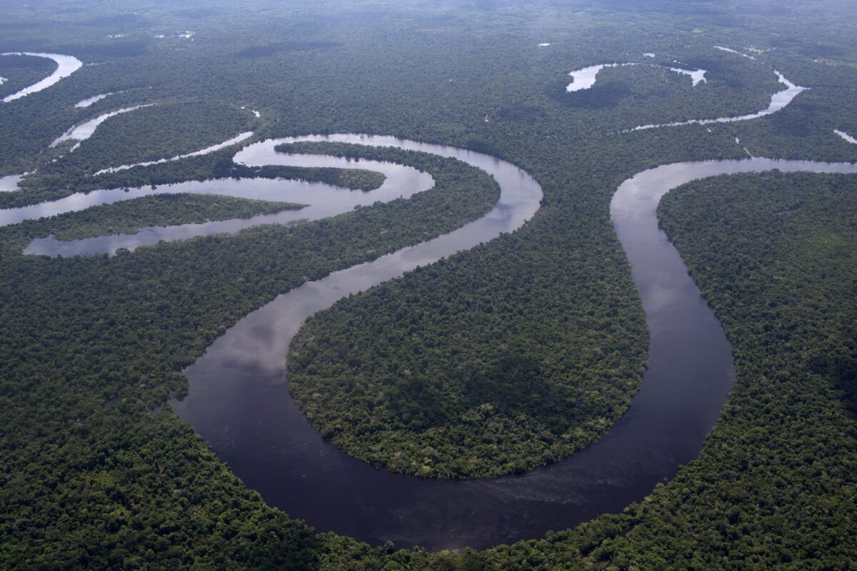 Life: Ο Λεονάρντο Ντι Κάπριο και ο Τζεφ Μπέζος βοηθούν στη δημιουργία ταμείου 200 εκατομμυρίων δολαρίων για την προστασία του Αμαζονίου