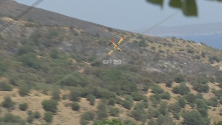 Πτώση Καναντέρ: Συγκλονιστικές λεπτομέρειες, καρέ – καρέ η καθοδική πορεία και η πτώση του αεροσκάφους