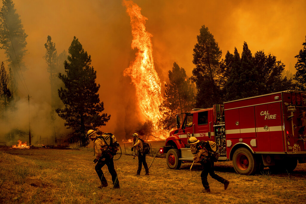 Καναδάς: Πυροσβέστης έχασε τη ζωή του κατά τη διάρκεια κατάσβεσης δασικής πυρκαγιάς