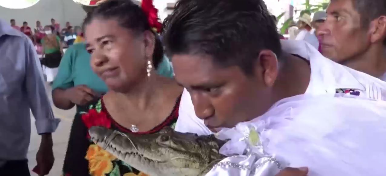 Δήμαρχος στο Μεξικό παντρεύτηκε… αλιγάτορα τιμώντας προαιώνια παράδοση