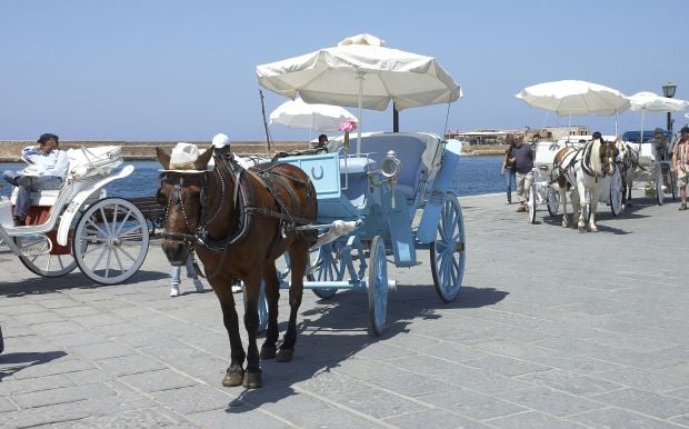 Κυκλοφορούν οι άμαξες στα Χανιά, παρά την καθολική απαγόρευση από το Υπουργείο Αγροτικής Ανάπτυξης και Τροφίμων