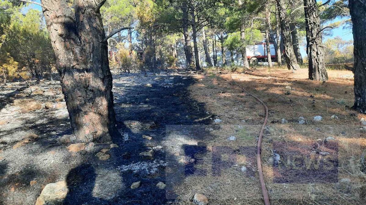 Χίος: Κάηκαν περισσότερα από 600 στρέμματα δάσους- Σε επιφυλακή η Πυροσβεστική