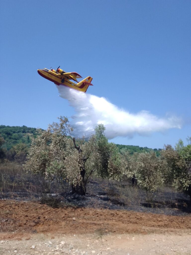 ΠΕ Μαγνησίας: Σε ισχύ και αύριο οι απαγόρευση κυκλοφορίας σε περιοχές NATURA-δάση