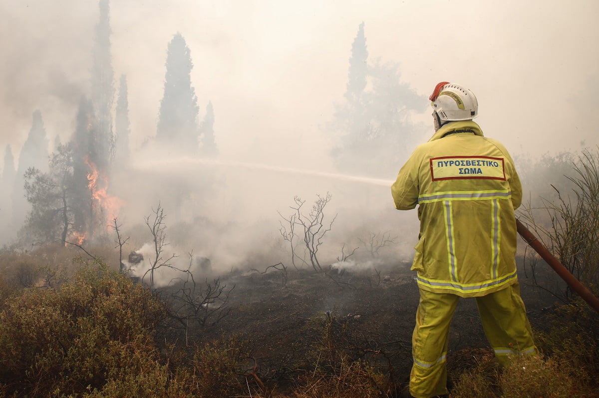 Πήλιο: Άμεση επέμβαση Πυροσβεστικής για φωτιά στην Πάλτση