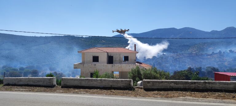 Καταδικάστηκε η 85χρονη που προκάλεσε την πυρκαγιά στους Μυτιληνιούς