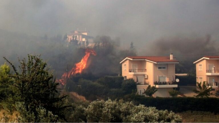 Δήμος Ρήγα Φεραίου: Πρόσκληση για δήλωση ζημιών από πυρκαγιές