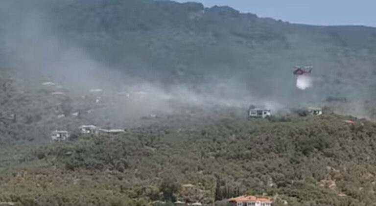 Βόλος: Στο αυτόφωρο ο 47χρονος που συνελήφθη για τη φωτιά στα Καλά Νερά