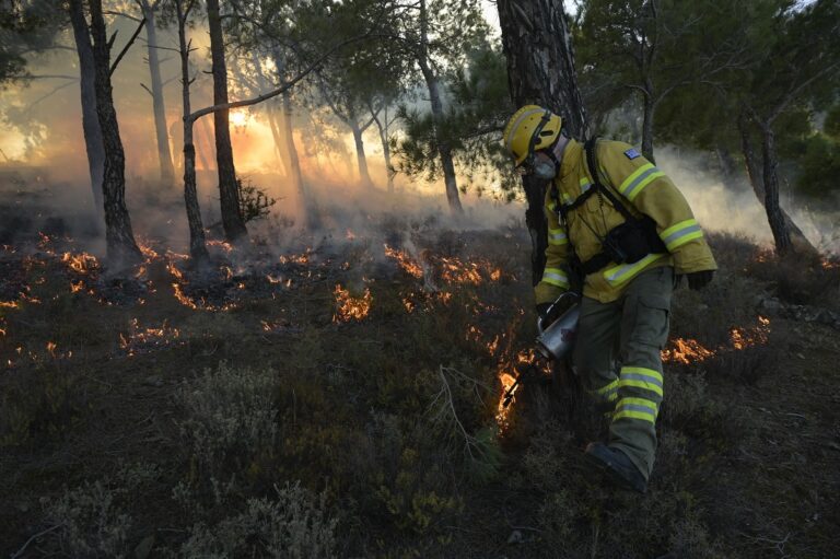 WWF Ελλάς: Ο απολογισμός του διετούς πιλοτικού έργου προδιαγεγραμμένης καύσης στη Χίο