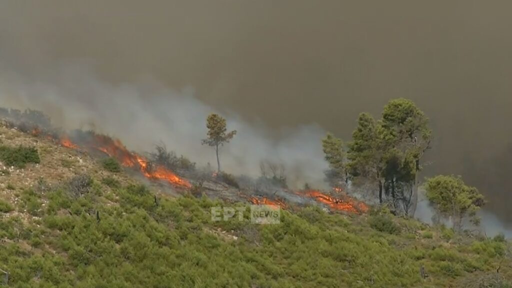 Μαίνεται η φωτιά στην Οινόη, μήνυμα από το 112 για την πυρκαγιά στα Δερβενοχώρια – Επιχειρούν τα εναέρια μέσα στο Λουτράκι