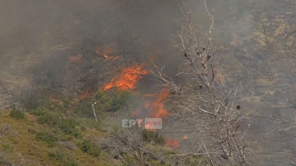Μαίνεται η φωτιά στην Οινόη, μήνυμα από το 112 για την πυρκαγιά στα Δερβενοχώρια – Επιχειρούν τα εναέρια μέσα στο Λουτράκι