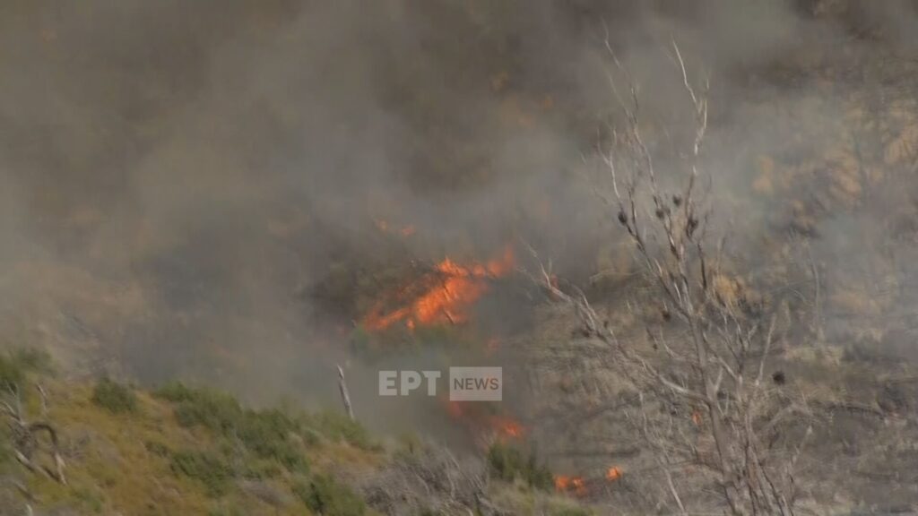 Μαίνεται η φωτιά στην Οινόη, μήνυμα από το 112 για την πυρκαγιά στα Δερβενοχώρια – Επιχειρούν τα εναέρια μέσα στο Λουτράκι