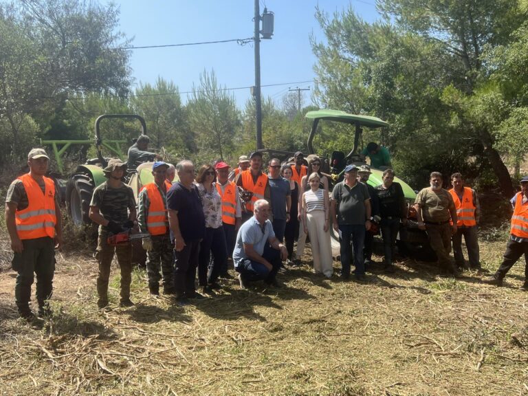 Πύργος: Αισθητικές παρεμβάσεις στο δάσος Καιάφα