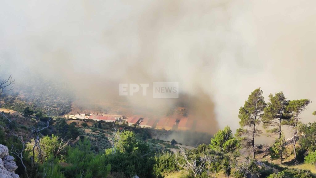 Φωτιές: Στα Δερβενοχώρια το μεγαλύτερο μέτωπο, κινείται προς Μαγούλα – Εικόνες και βίντεο από το σημείο