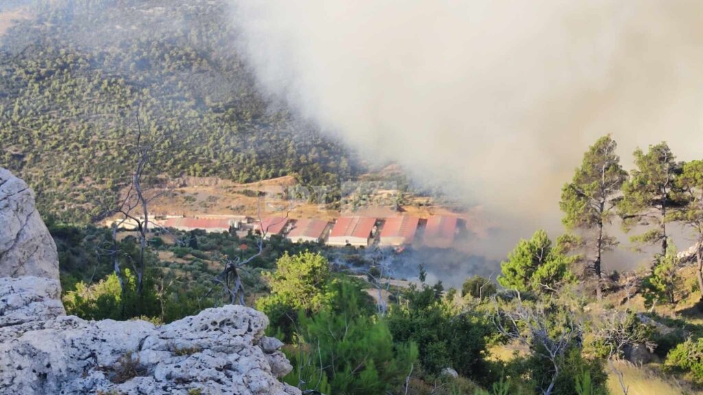 Φωτιές: Στα Δερβενοχώρια το μεγαλύτερο μέτωπο, κινείται προς Μαγούλα – Εικόνες και βίντεο από το σημείο