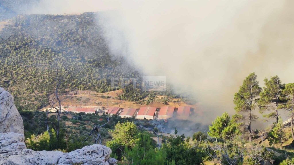 Φωτιές: Στα Δερβενοχώρια το μεγαλύτερο μέτωπο, κινείται προς Μαγούλα – Εικόνες και βίντεο από το σημείο