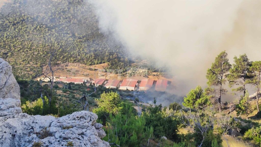 Φωτιές: Στα Δερβενοχώρια το μεγαλύτερο μέτωπο, κινείται προς Μαγούλα – Εικόνες και βίντεο από το σημείο