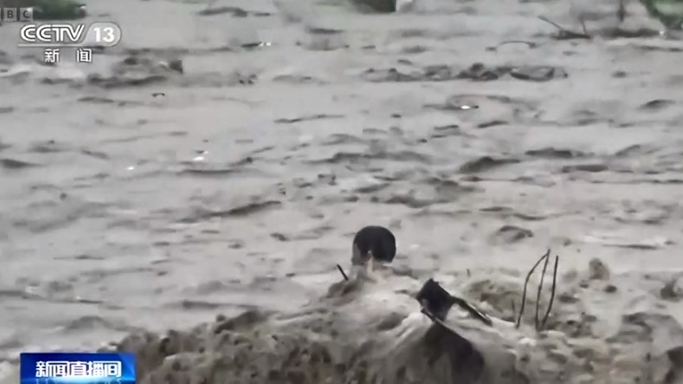 Κίνα: Πώς άνδρας σώθηκε από το αναποδογυρισμένο του όχημα μέσα σε ορμητικά νερά (video)