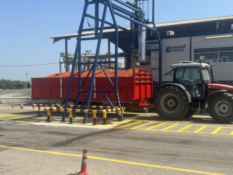 Ξεκίνησαν οι πρώτες παραλαβές τομάτας στο εργοστάσιο «ΚΥΚΝΟΣ»