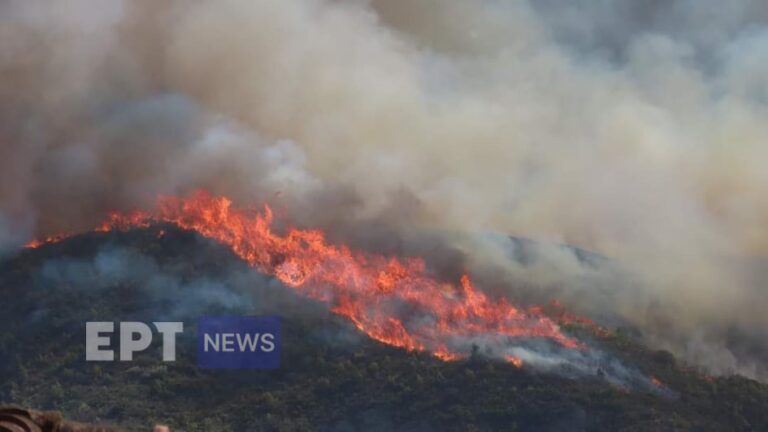 Δύο μέτωπα στην πυρκαγιά στο Δερβενάκι Αιγίου – Εκκενώνεται η περιοχή Κάστρο (βίντεο)