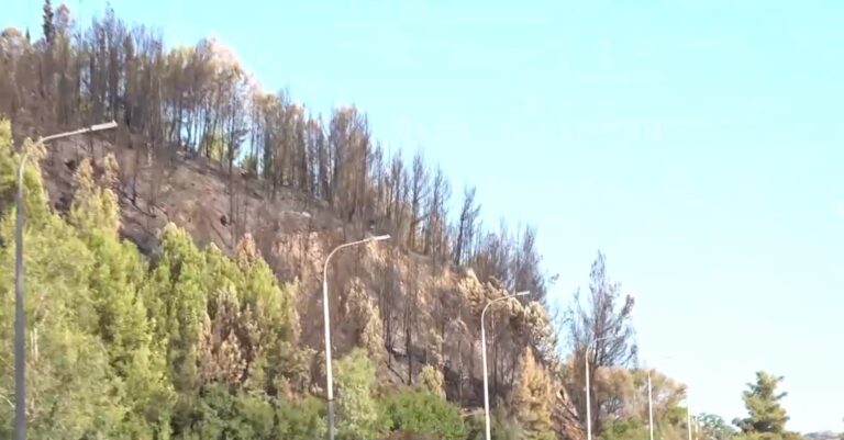 Ο δήμαρχος Αρχαίας Ολυμπίας στην ΕΡΤ: Χρειάζεται ιδιαίτερη προστασία ο αρχαιολογικός χώρος