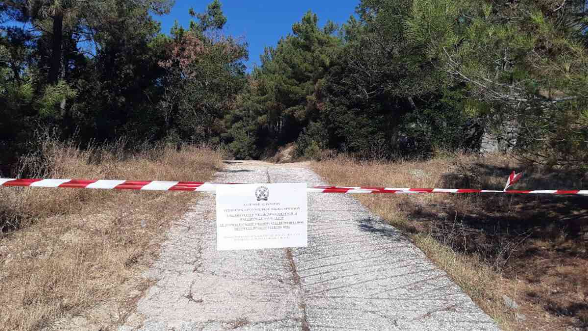 Θεσσαλονίκη: Σε ισχύ απαγόρευση κυκλοφορίας στα περιαστικά δάση