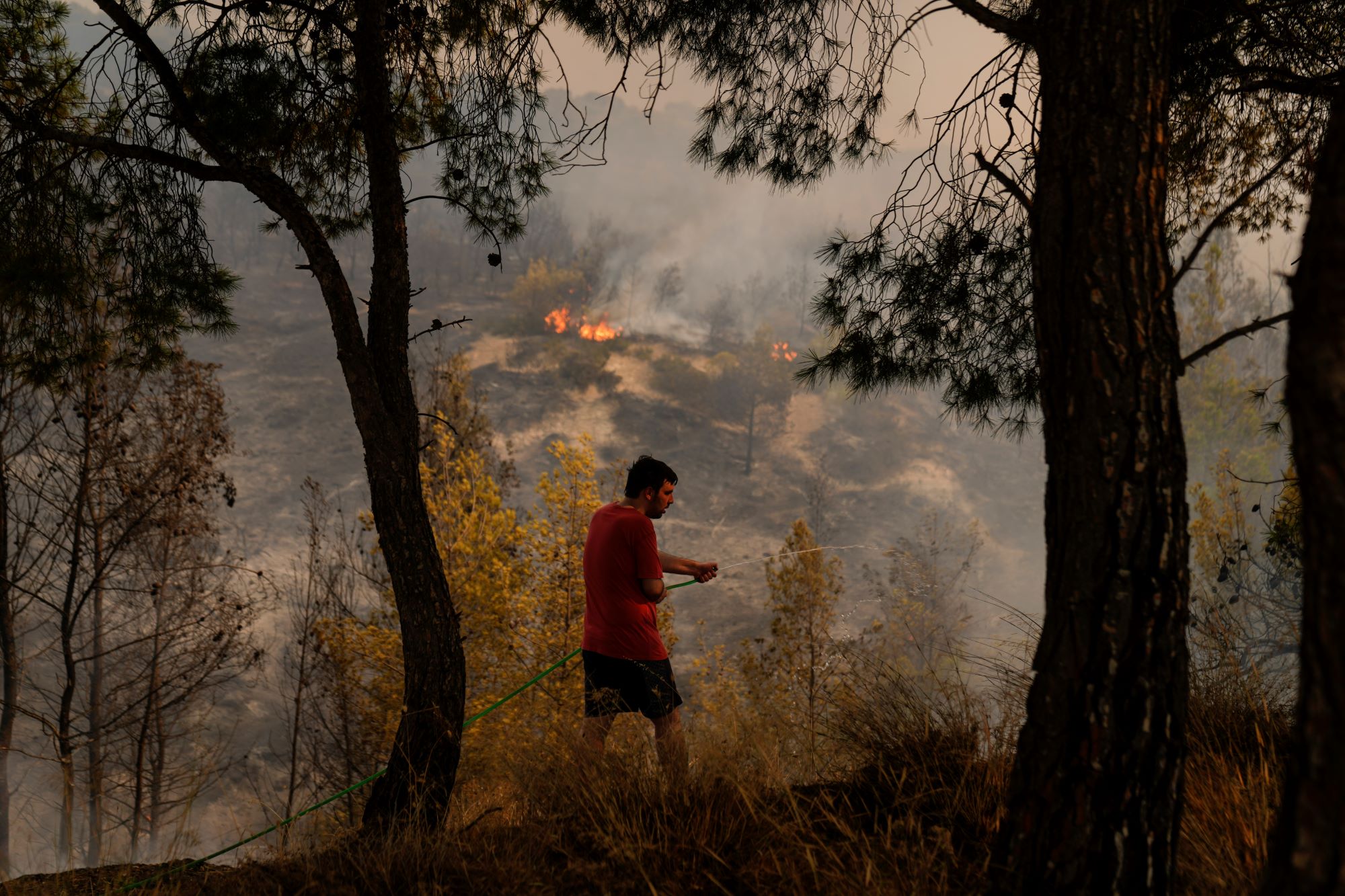 Προειδοποιεί το Meteo: Πολύ υψηλή επικινδυνότητα δασικών πυρκαγιών Τρίτη και Τετάρτη