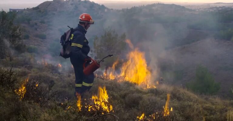 Ένθετο Περιβάλλον: Πιλοτικές έρευνες για εφαρμογή προδιαγεγραμμένης καύσης στα δάση