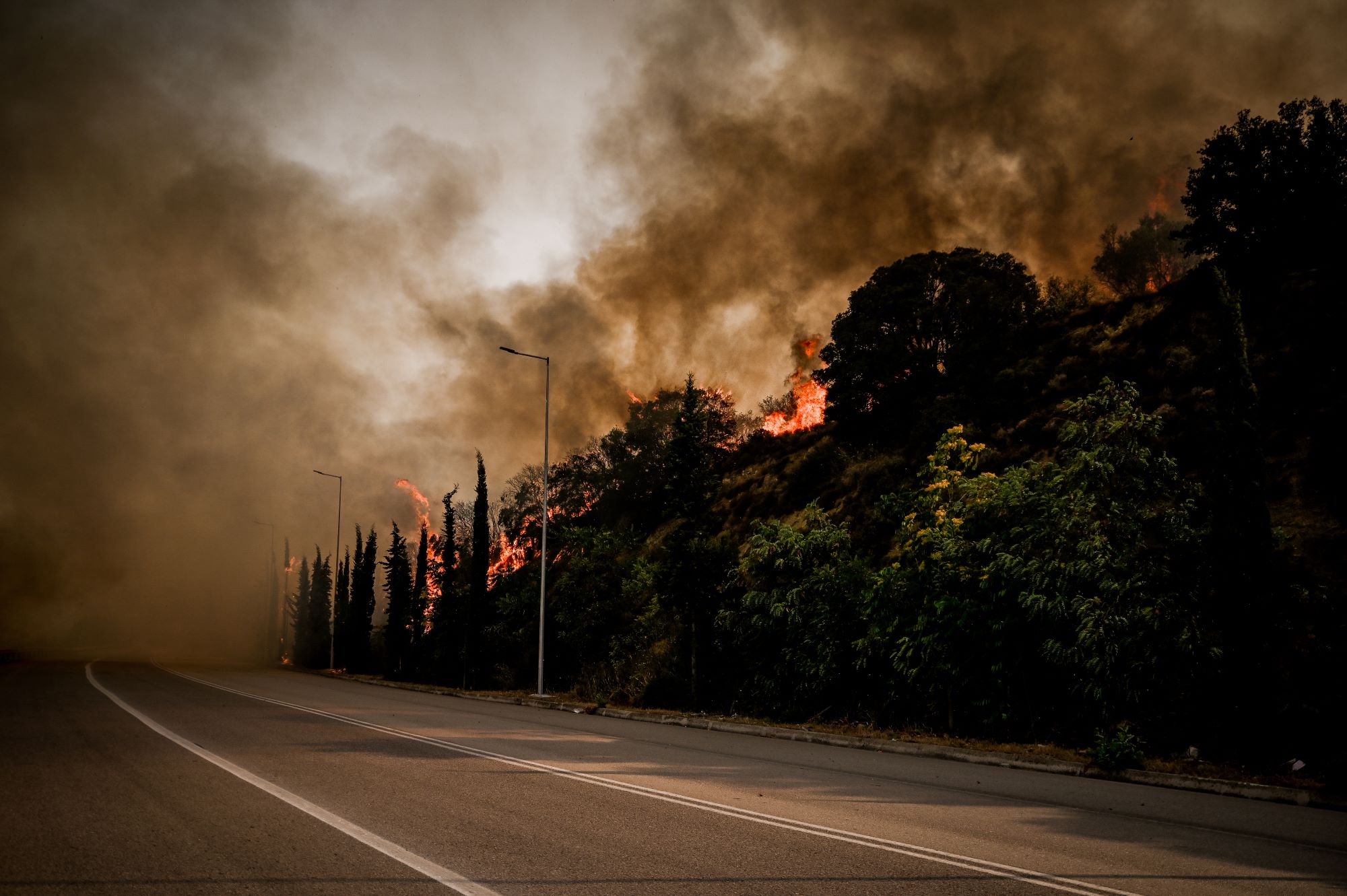 Aναζωπυρώσεις σε Κάρυστο και Ρόδο- Βελτιωμένη εικόνα σε Κέρκυρα και Φθιώτιδα