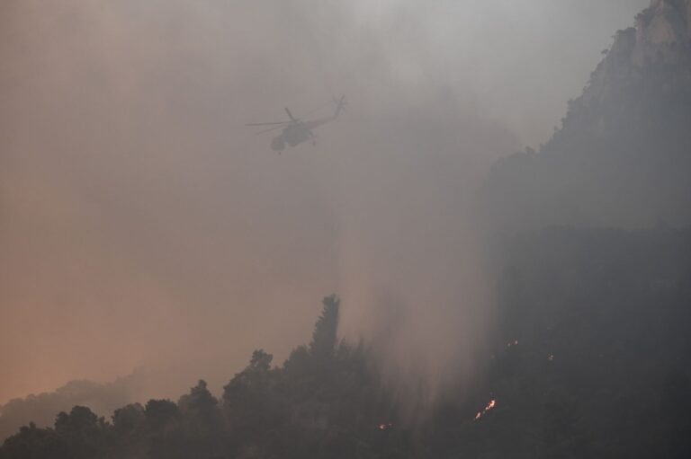 Σύλληψη ατόμου για εμπρησμό στον Αλμυρό Βόλου – Βρέθηκαν πάνω του εύφλεκτα υλικά