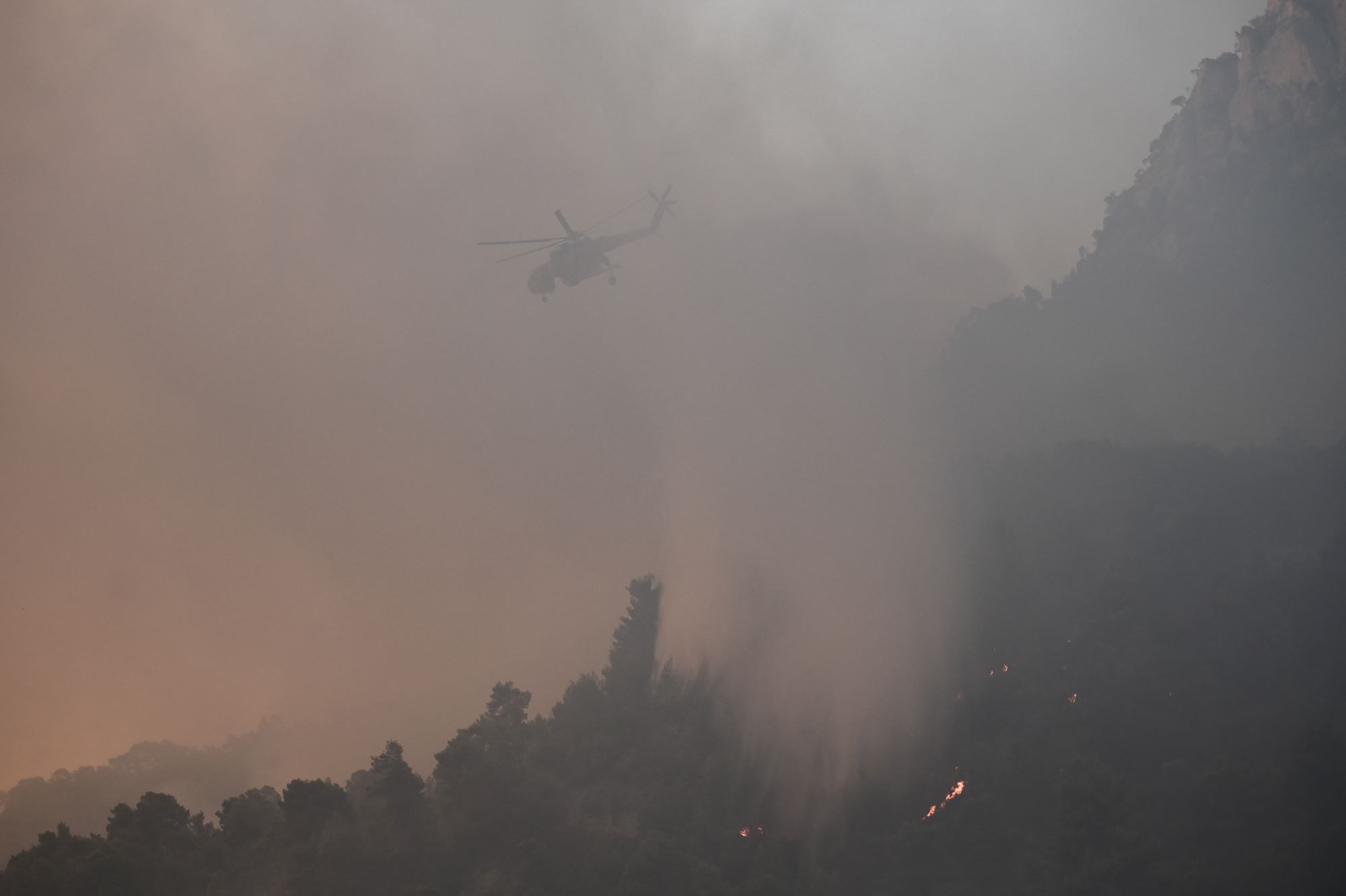 Σύλληψη ατόμου για εμπρησμό στον Αλμυρό Βόλου – Βρέθηκαν πάνω του εύφλεκτα υλικά