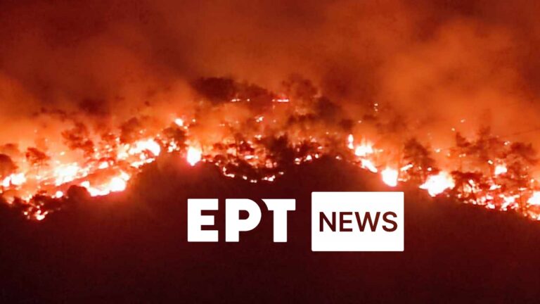 Κάρυστος: Μεγάλη μάχη με τις φλόγες δίνουν οι πυροσβέστες – Έκκληση για εναέρια μέσα από το Δήμαρχο