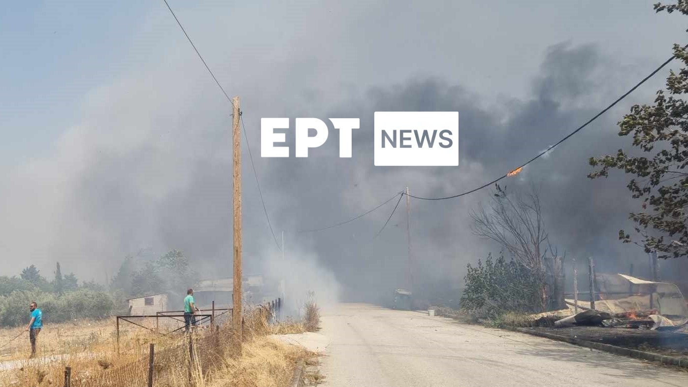 Φονική πυρκαγιά στη Μαγνησία: Πυροσβέστης μεταφέρθηκε με βαριά εγκαύματα στην Αθήνα – Τραυματίστηκαν άλλοι δύο