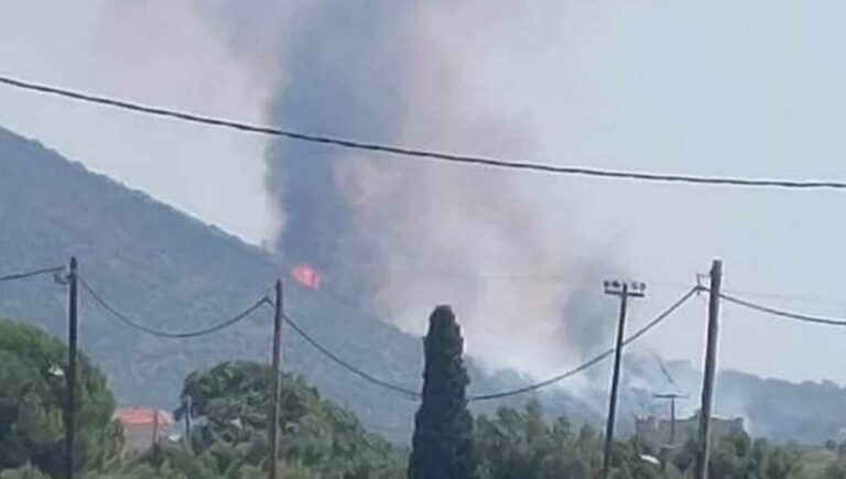 Υπό μερικό έλεγχο η πυρκαγιά στην Ανατολική Μάνη