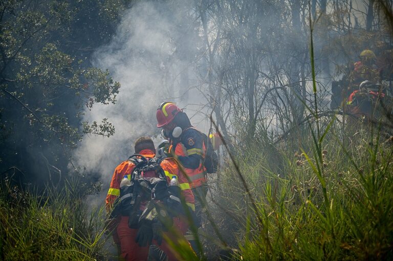 Σε εξέλιξη η πυρκαγιά στη Χίο – Ισχυρές δυνάμεις στο έργο κατάσβεσής της, προκλήθηκε από τροχαίο ατύχημα