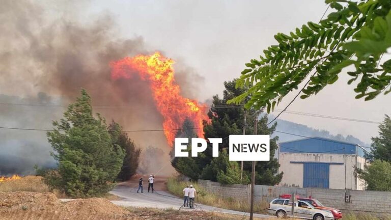 Συνδικάτο Μετάλλου: Να ληφθούν άμεσα μέτρα για τους εργαζόμενους στα εργοστάσια της ΒΙΠΕ