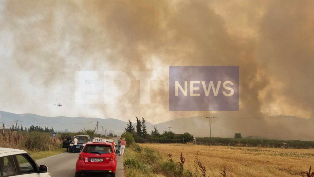 Μεγάλη φωτιά στο Βελεστίνο απειλεί την ΒΙΠΕ: Καίγονται σπίτια και αγνοείται βοσκός στον Άγιο Γεώργιο Φερών – Νέο 112 για άλλα 2 χωριά